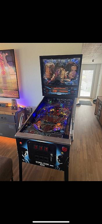 Flipper Demolition Man