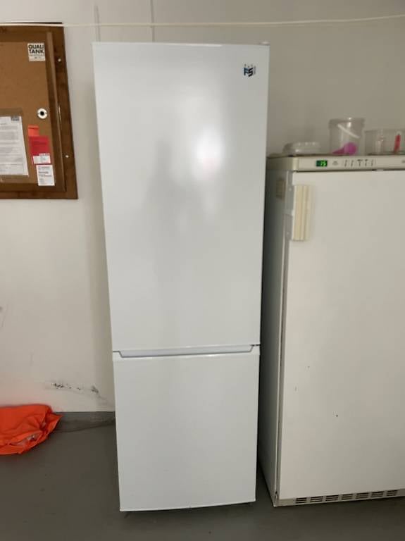 Kühlschrank mit Tiefkühlfach