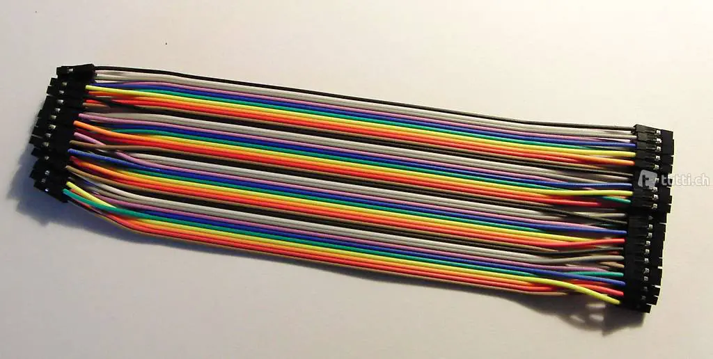 40 Stück DuPont Jumper Cable 20cm female-female