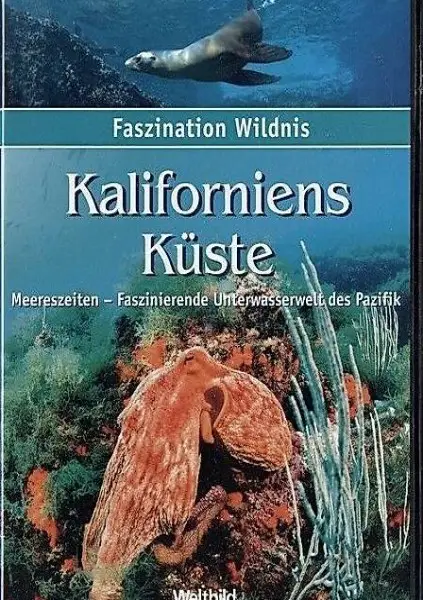 Kaliforniens Küste