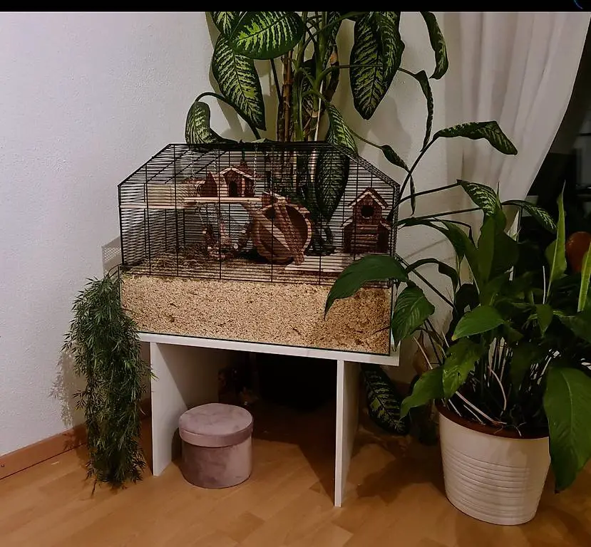 Hamster/Mäusekäfig