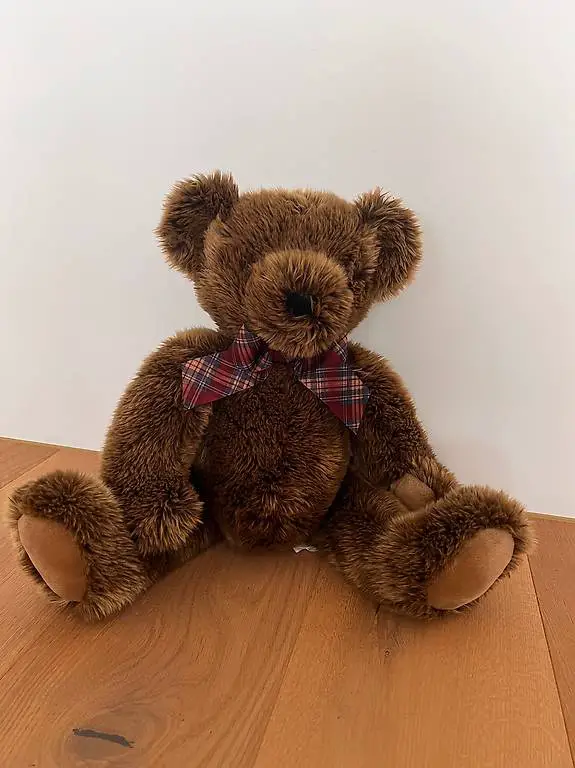 Teddybär