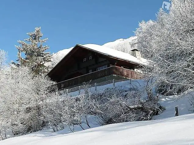 Skifahren in Bellwald VS