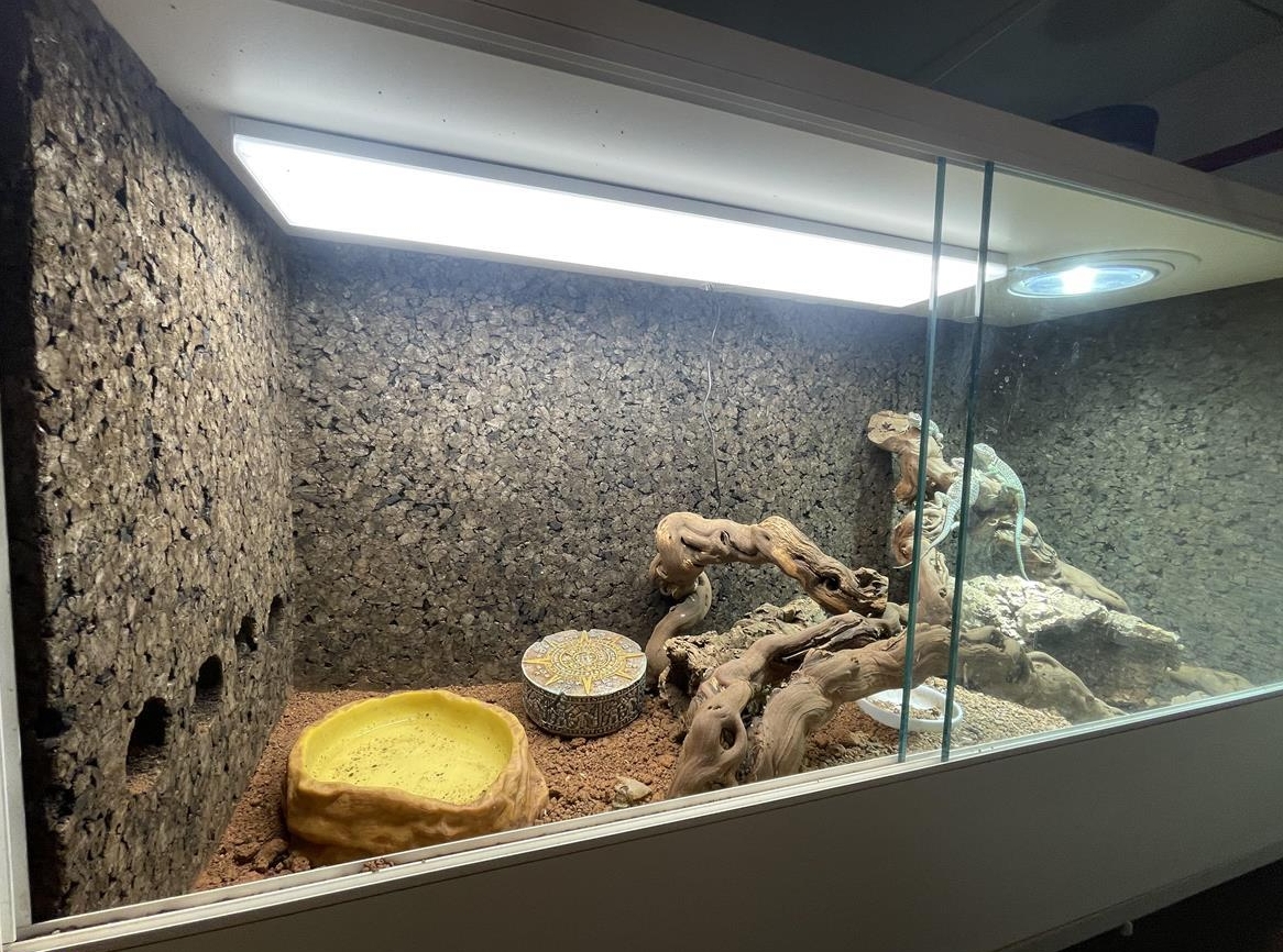 Terrarium 100x40x40cm mit Einrichtung/Technik