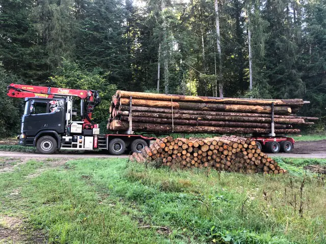 SCANIA, R 650 a 6x4 HZ, Holztransport