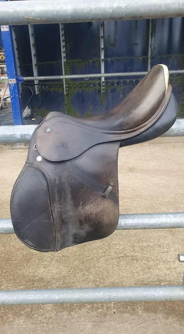 Vielseitigkeitssattel von Prestige mit Schwerpunkt Springen