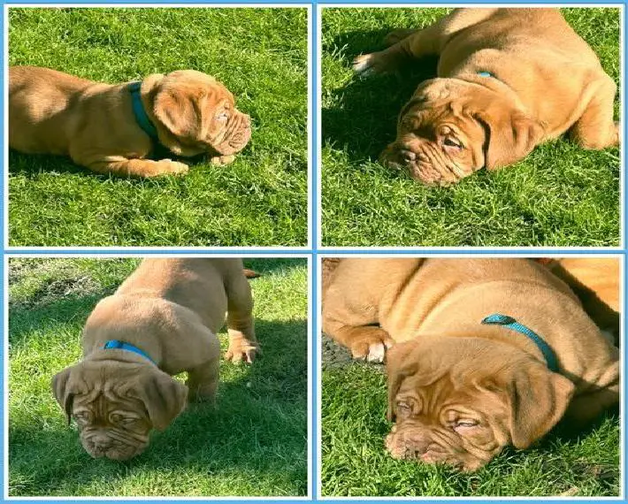 HALLO ein Bub sucht noch sein Zuhause