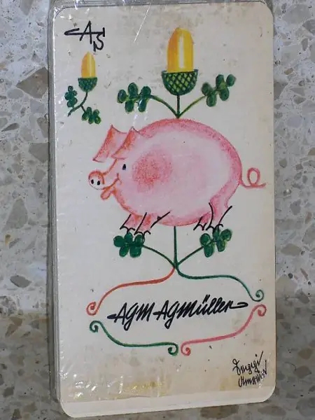 Jasskarten - Sammeln Extra Grosse neu & andere