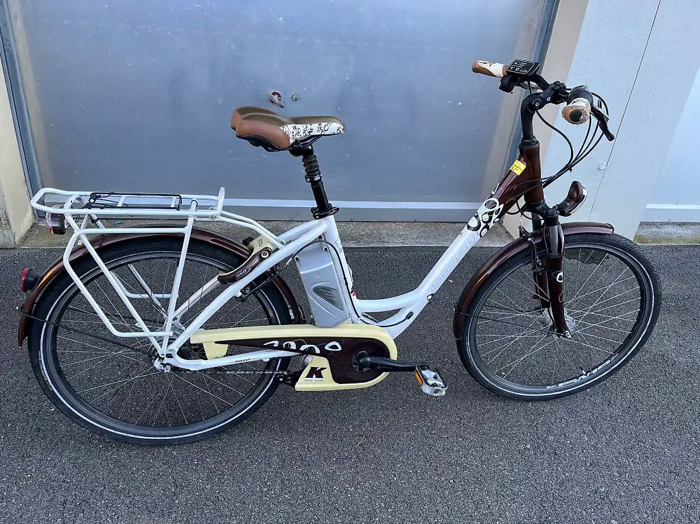 Flyer/kalkhoff e bike