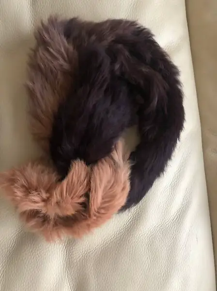 Echtfell Hase braun-beige