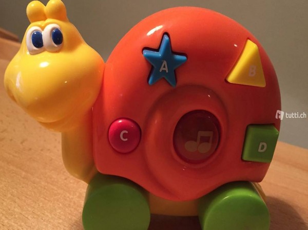 Schildkröte auf Englisch