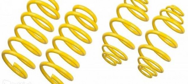  SKODA OCTAVIA COMBI RS - RESSORTS COURTS ST (30|30)