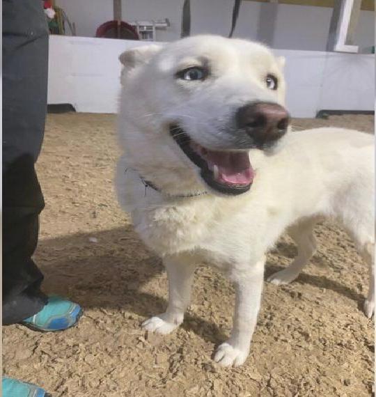 MIRA die freundliche