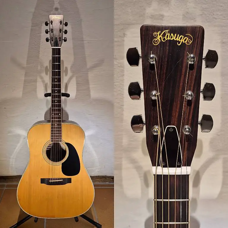 Western Gitarre Kasuga D-250