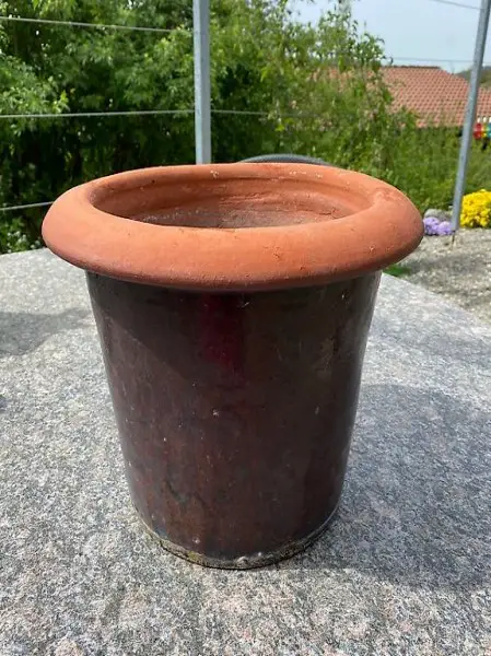 Teracotta Topf winterhart