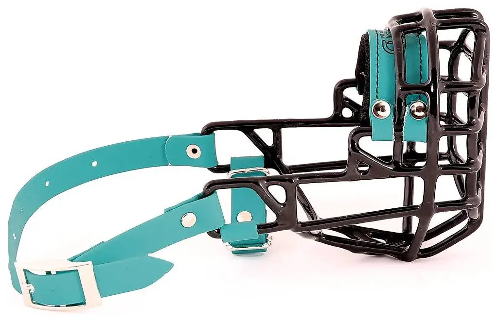 Maulkorb Draht gummiert Amerik. Cocker Spaniel Rüde (Chopo)