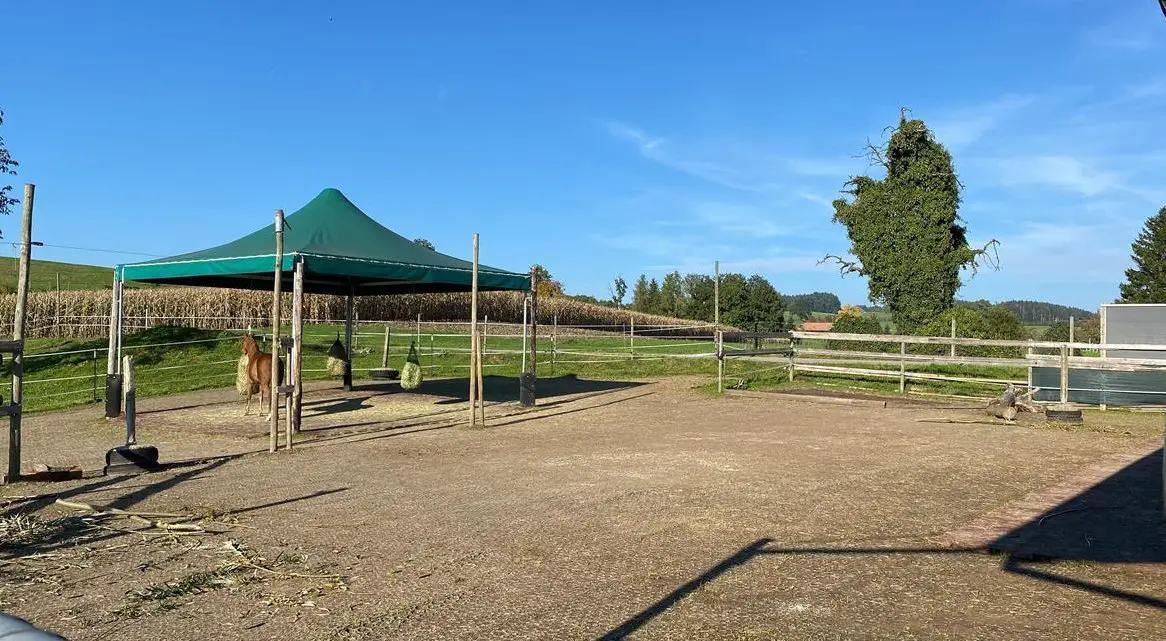 Offenstall sucht Pächter, Rossrüti SG