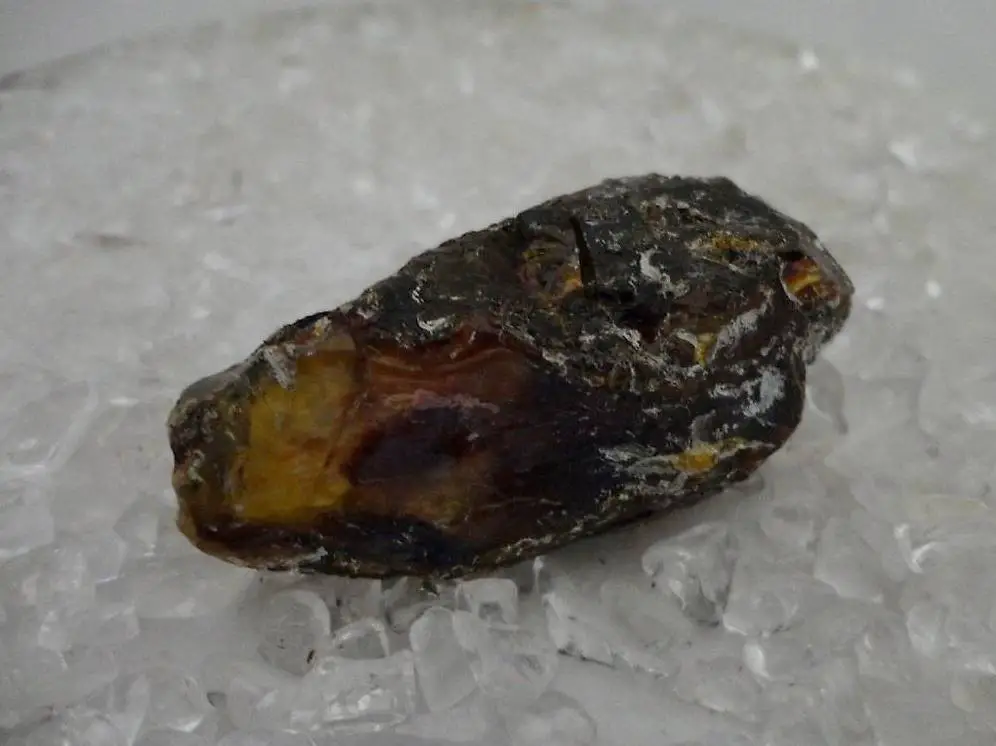 Bernstein/Amber/Ambre echt