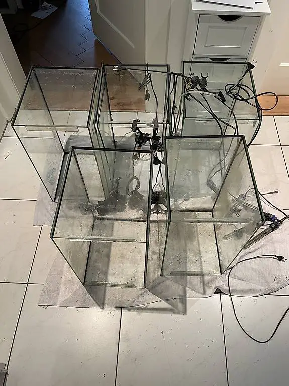 60Lt Aquarium, 4Stk. Mit filter und heizstab
