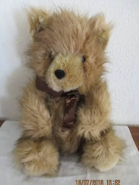  Teddy, Teddybär, Braunbär, Grisli