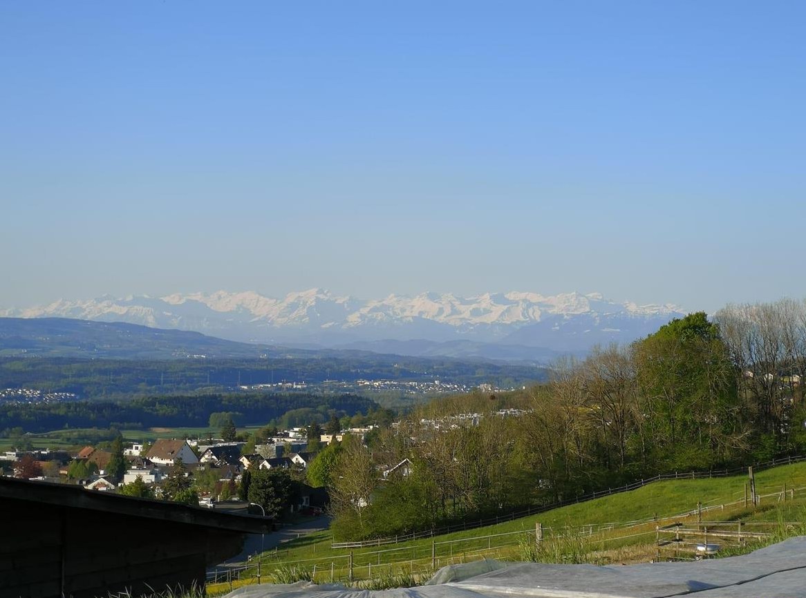 Offenstall - für Freizeitpferde auf einer Anhöhe in Oberrohrdorf AG