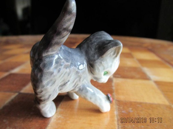  Katze, Tigerli, Kater, Kätzin, Büsi, Schmusekatze