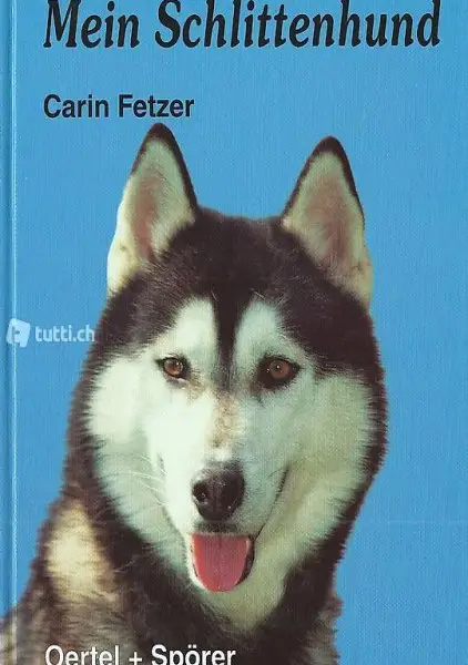 Mein Schlittenhund