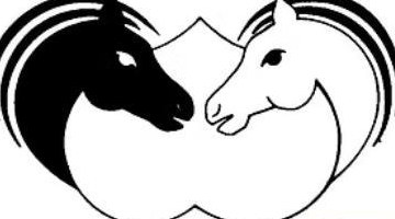 Reithof am Stadtrand von Zürich sucht NachfolgerIn in Miete