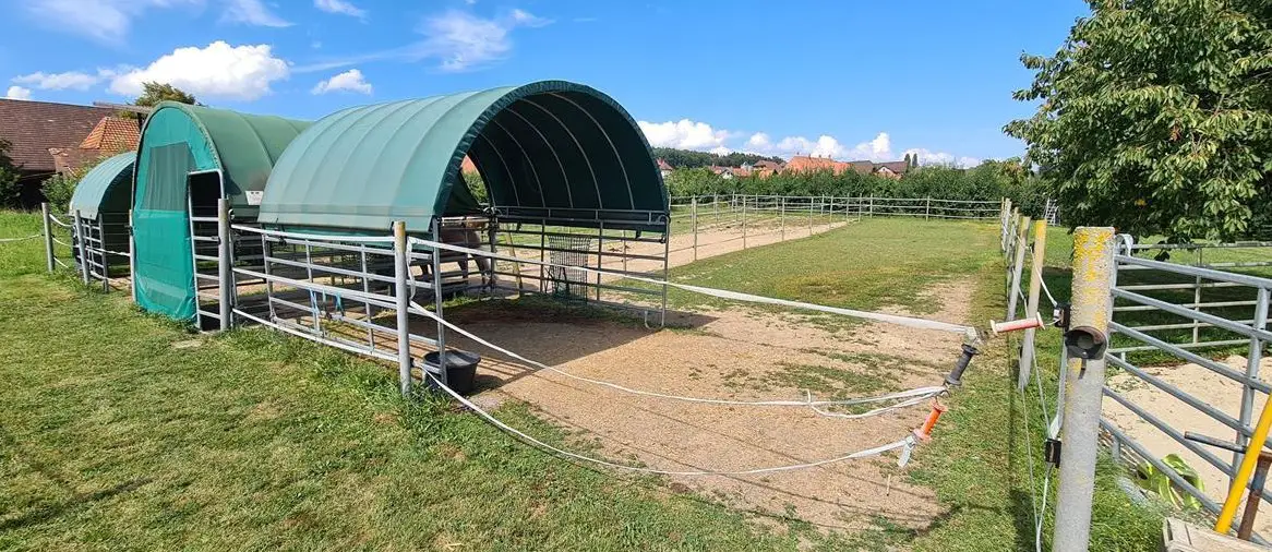 Pferdeboxe mit täglichem Auslauf zu vermieten in Epsach BE