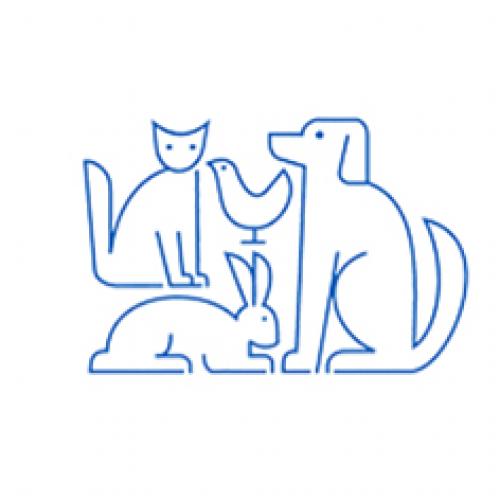 Kleintierpraxis Dr. med. vet. Fredi Witschi