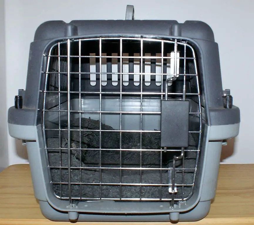 Gebrauchte Katzenbox