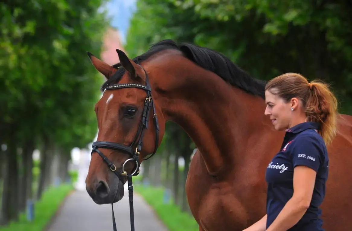 PferdepflegerIn gesucht in Pension und Ausbildungsstall