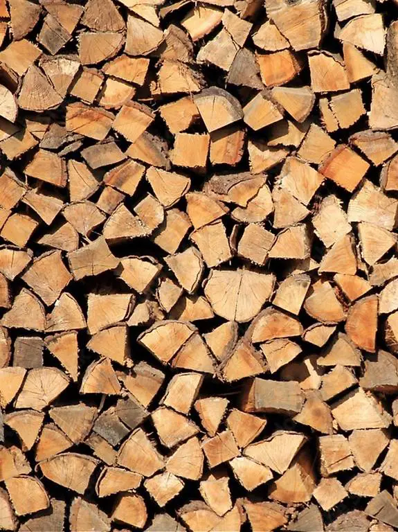 Brennholz (Hartholz) für 185 pro Ster