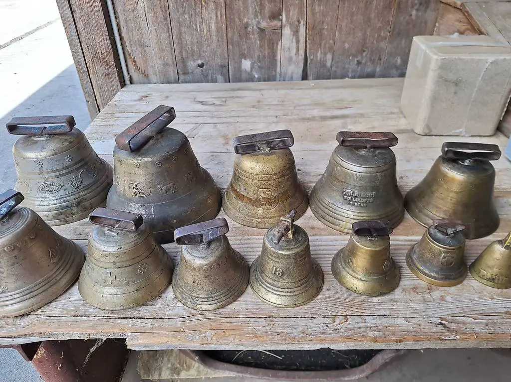 Kuhglocken, Schellen