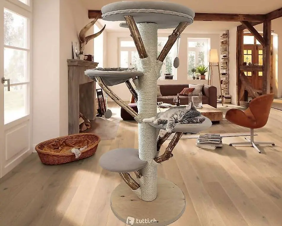 naturholz katzenbaum holzkatzenbaum unikat neu top modern