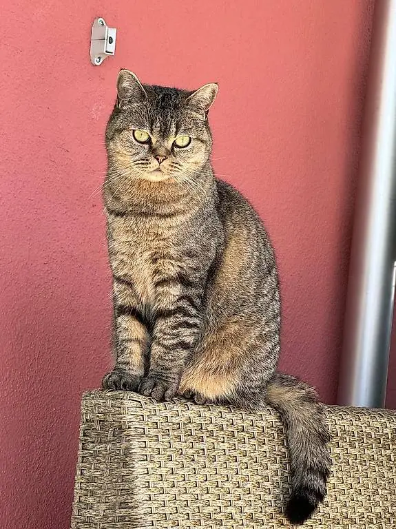 Neues Zuhause für Jacky