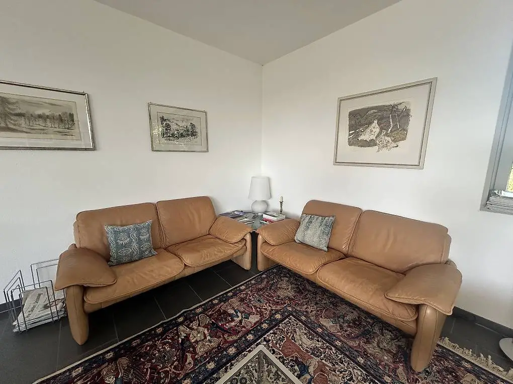 De Sede Vintage Ledersofas, 2-Sitzer