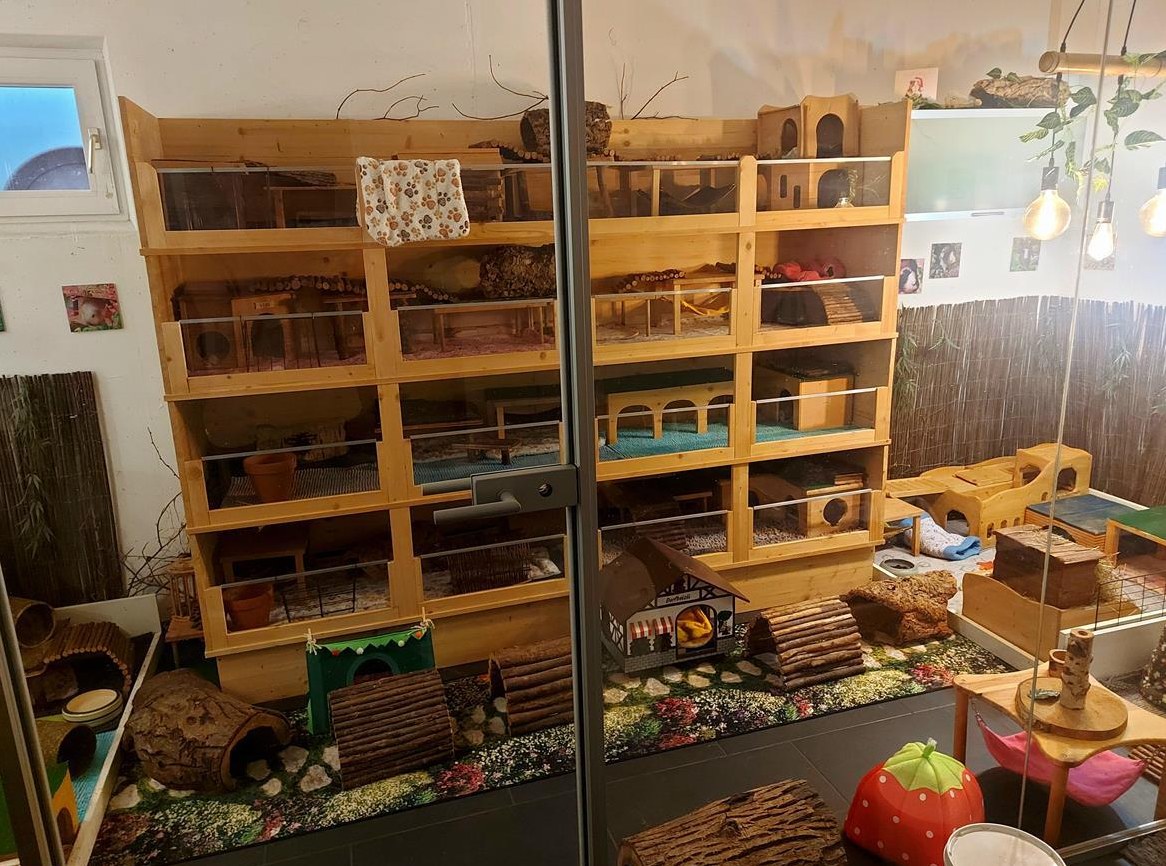 Meerschweinchen Ferienparadies Betreuung