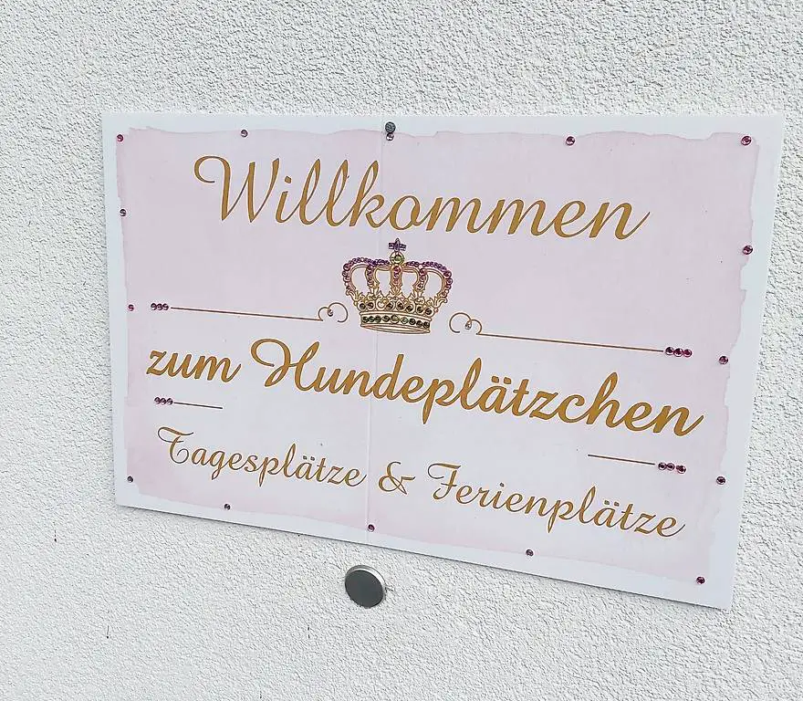 Hundebetreuung für Senioren Hunde