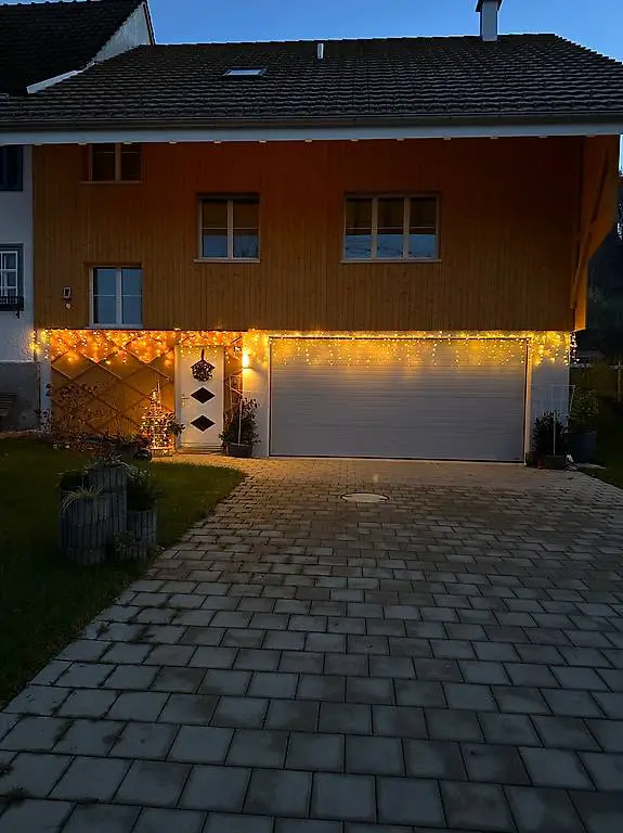 Hündin sucht WG MitbewohnerIn