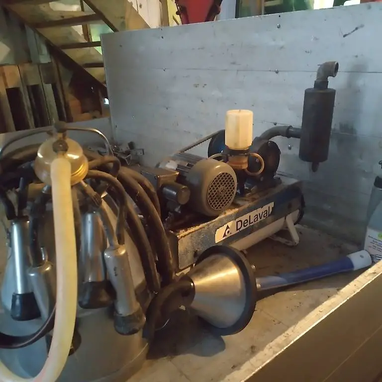 Melkmaschine Standeimer