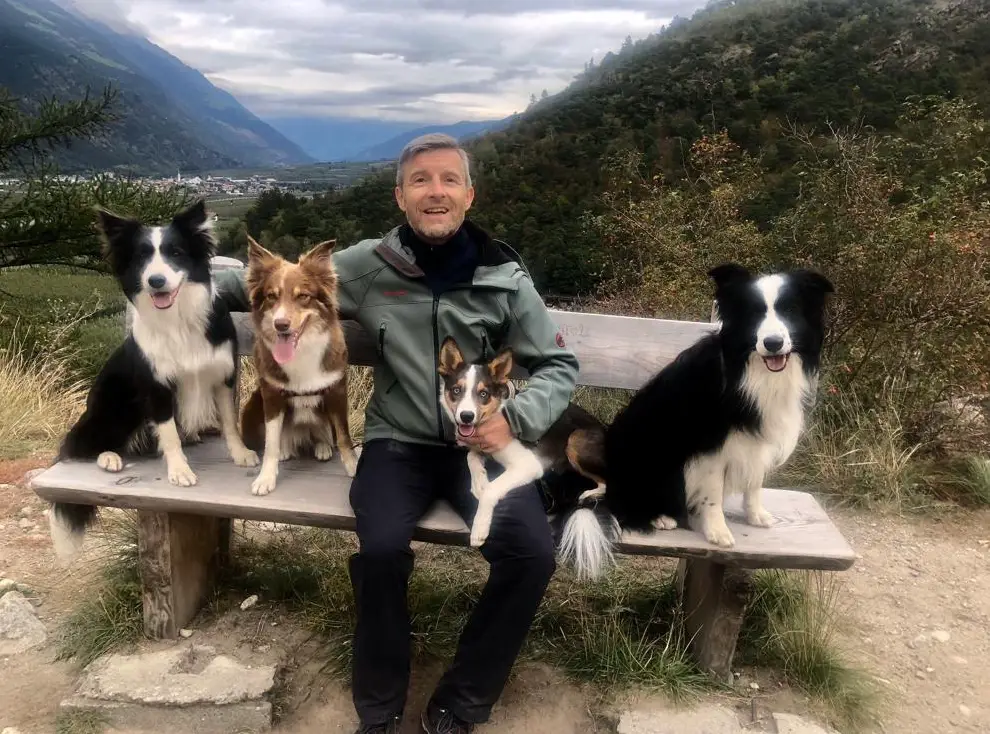 Hundebetreuung und Dogsitting | From Goat Mountain