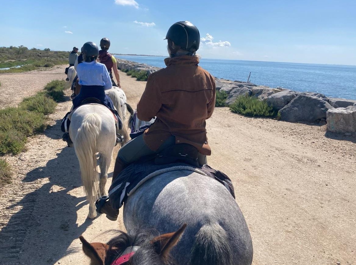 Biete tatkräftige, umsichtige Hilfe, Tierbetreuung / Bauernhofhilfe