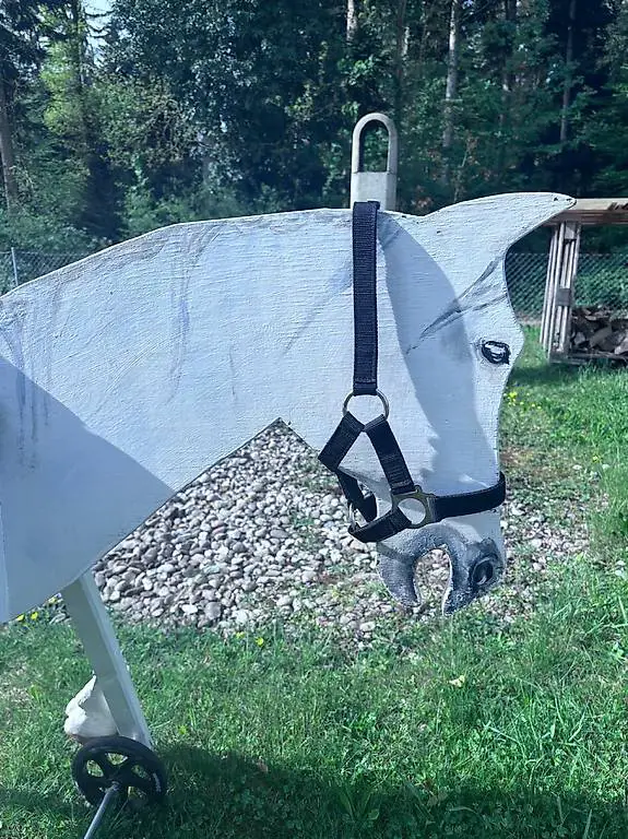 Holzpferd mit Zubehör