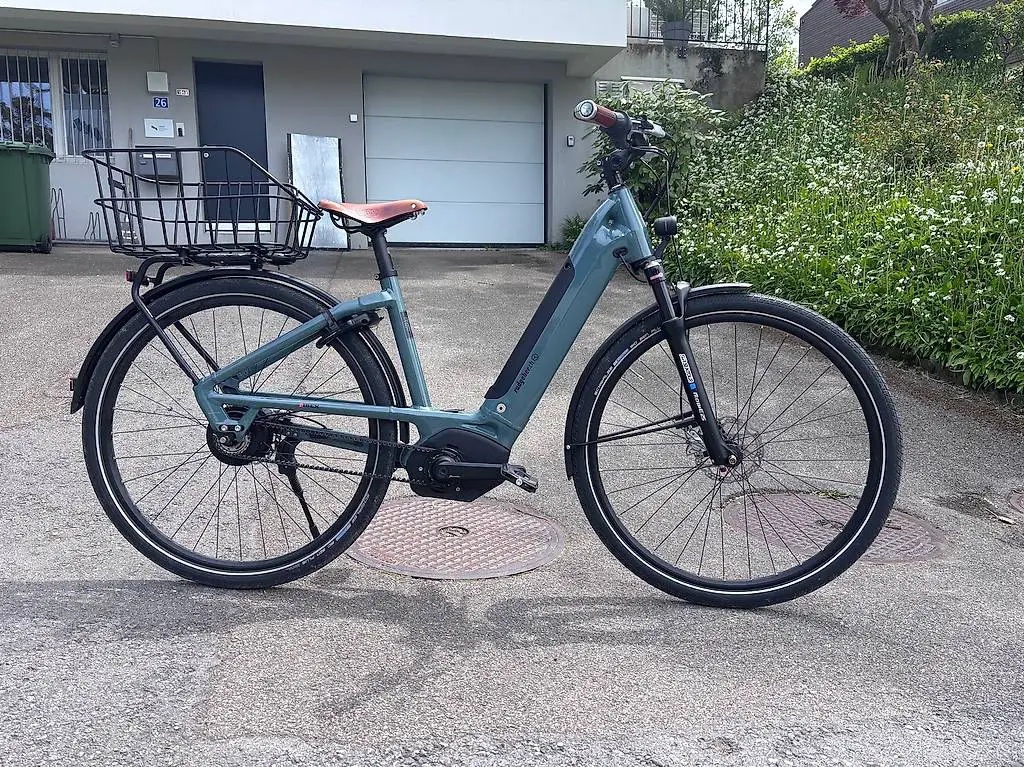 E-Bike IBEX eAvantgarde Neo S