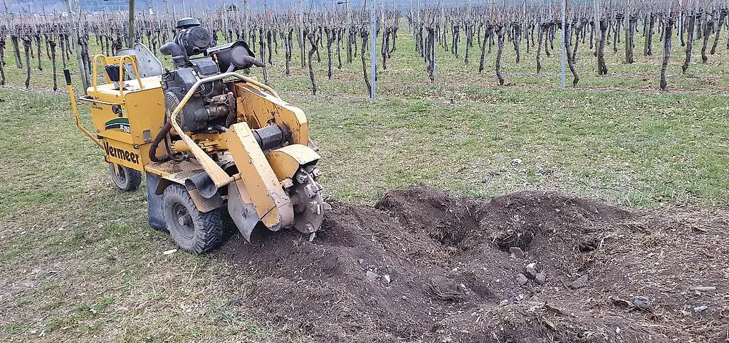 Stockfräse / Baumstumpffräse / Stubbenfräse / Fräse