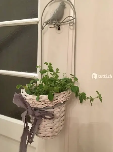  Pflanzen Korb Shaby Chic weiss grau