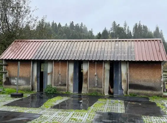 Esel-, Pony-/Kleinpferdestall mit 3 Boxen zu verkaufen