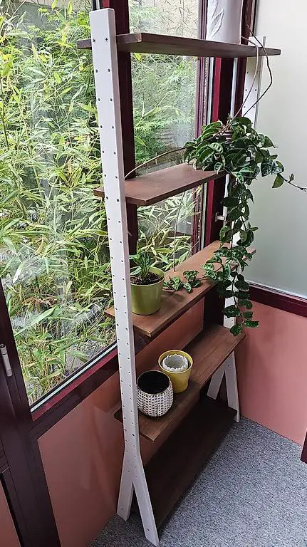 Pflanzenregall aus Buchenholz für Wintergarten