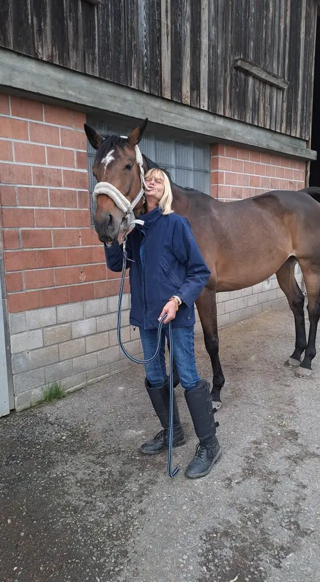 Suche Pflegepferd/Reitbeteiligung, Umgebung Uster